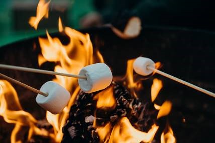 Marshmallows on a stick being toasted on a bonfire