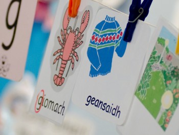 Gaelic flashcards